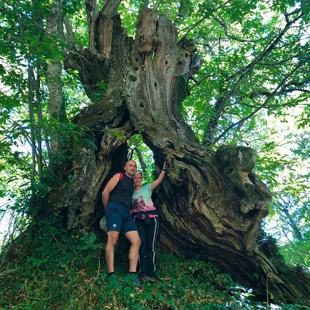 Casa Blanco Conde Maison d'hôtes Laza