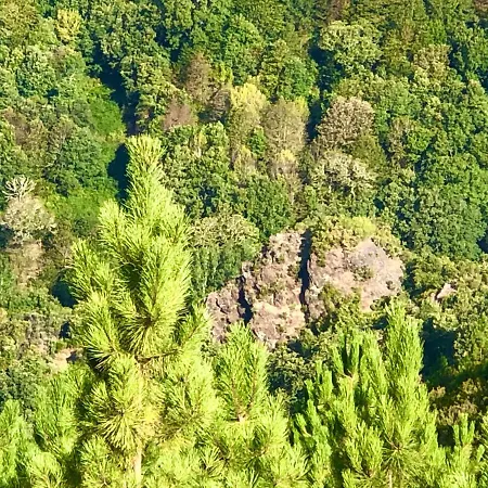 Casa Blanco Conde Maison d'hôtes 3*