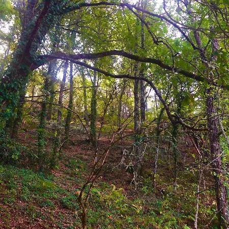 Maison d'hôtes Casa Blanco Conde