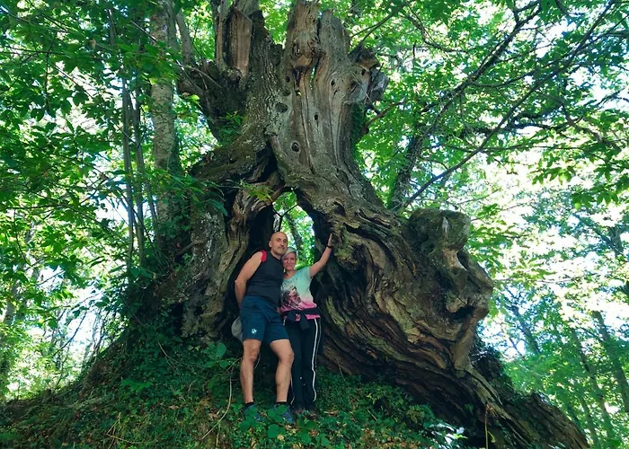 Casa Blanco Conde بيت ضيافة Laza