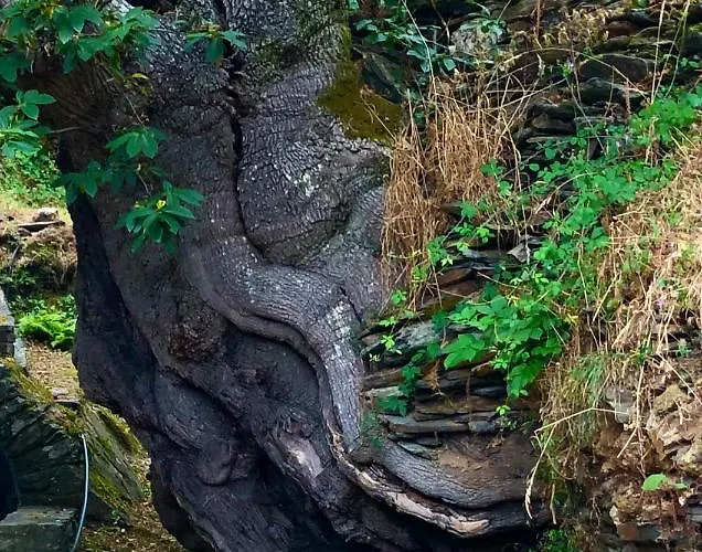 Casa Blanco Conde Πανσιόν