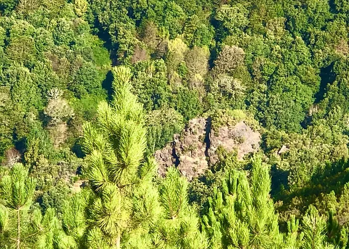 Casa Blanco Conde Πανσιόν 3*