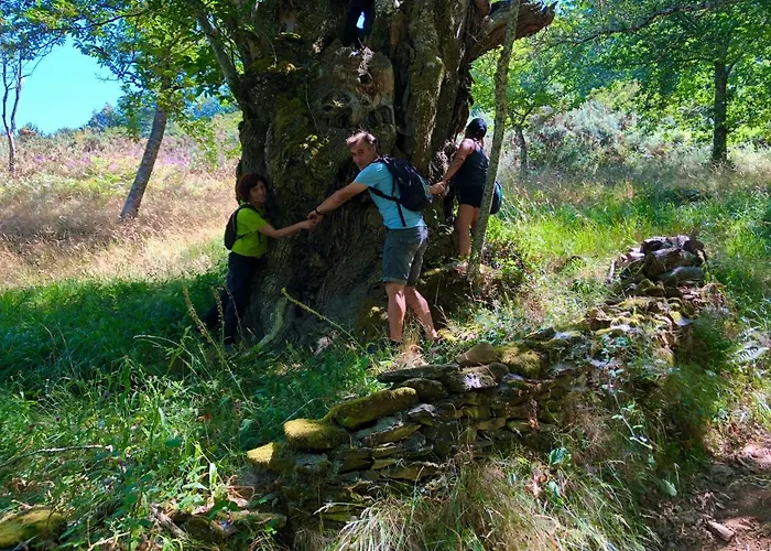 Casa Blanco Conde Πανσιόν 3*