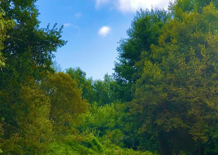 Πανσιόν Casa Blanco Conde