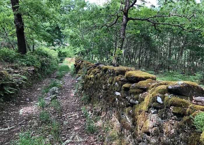 Casa Blanco Conde بيت ضيافة Laza