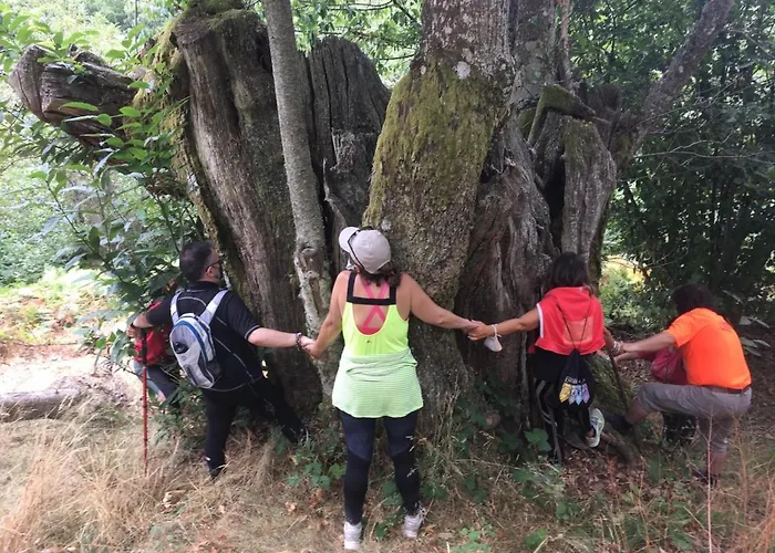 Casa Blanco Conde بيت ضيافة 3*