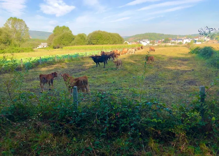 بيت ضيافة Casa Blanco Conde Laza
