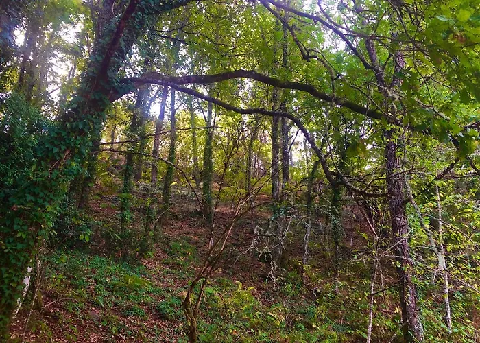 بيت ضيافة Casa Blanco Conde